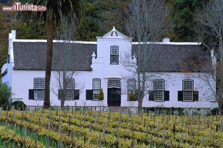 Immagine Vigneti in Sudafrica - Fonte South African Tourism