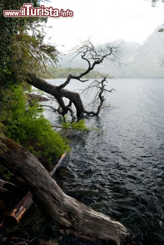 Immagine Sullle sponde del Lago Nahuel Huapi vicino a Villa La Angostura in Patagonia, Argentina - © kastianz / Shutterstock.com