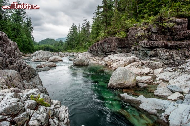 Immagine Un torrente presso Sutton Pass, Vancouver Island, Canada. L'isola sorge al largo della Columbia Britannica, lungo la costa occidentale, separata dalla terraferma dagli stretti di Georgia e Queen Charlotte, ed è ricca di foreste e scorci selvaggi. Qui, a fine Settecento, venne scoperto e abbattutto l'albero più alto del pianeta, un abete di ben 126 metri - © Peter Wey / Shutterstock.com