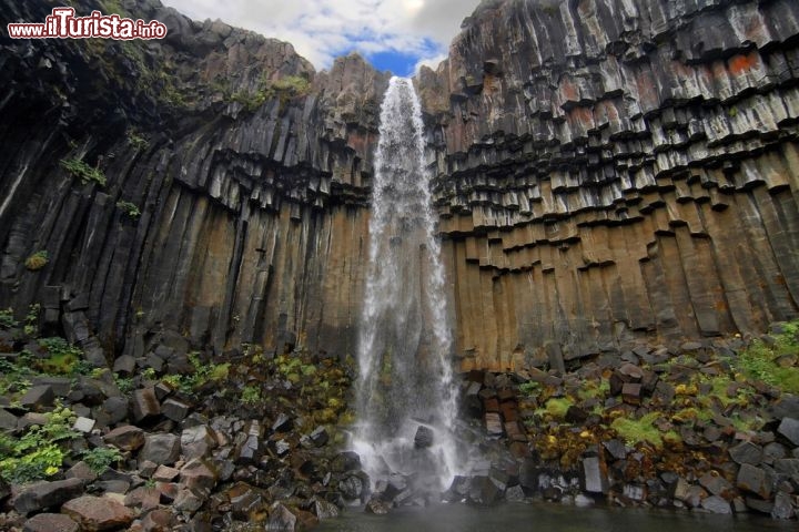 Immagine Svartifoss. Islanda: la grande cascata si getta da una spettacolare parete con con basalti colonnari, detti anche a canne d'organo. Si tratta di rocce basaltiche, cioè provenineti da colate di lava che, raffreddandosi, si fessurano in questo modo particolare.  Ci troviamo nel sud dell'Isola, nei confini del Parco nazionale Vatnajokull, Iceland - © Santi Rodriguez / Shutterstock.com