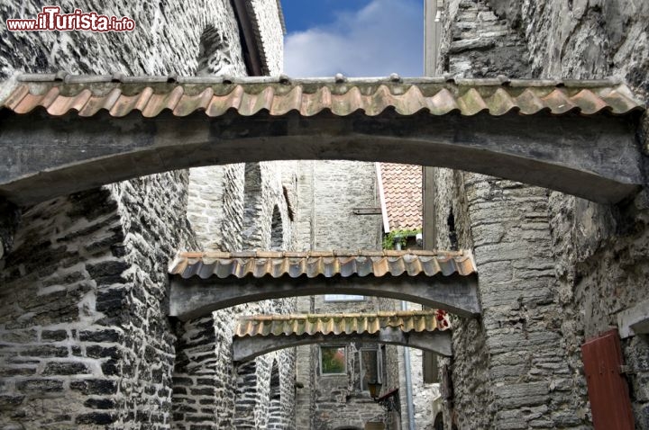 Immagine Il cosiddetto Passaggio di Santa Caterina, nel centro di Tallinn, si trova tra le vie Vene e Muurivahe, fiancheggiato dalle botteghe degli artigiani e a pochi passi dalla chiesa di Santa Caterina - © Amy Johansson / Shutterstock.com