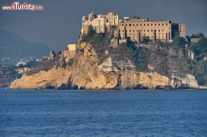 Immagine Terra Murata il Castello ed il borgo di Procida visto da nord