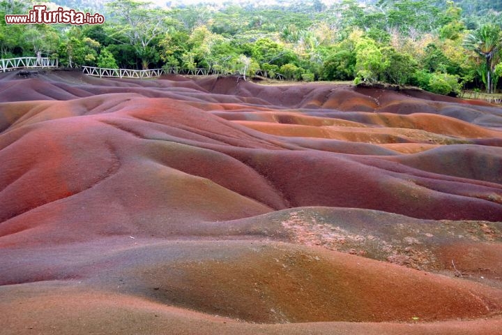 Immagine Particolare della Terra dei "sette colori" a Mauritius - Per gli abitanti locali le sfumature di questo lembo di terra recintato, situato nell'entroterra dell'isola, sarebbero sette, da cui il nome "terra dei sette colori" © 12624343 1