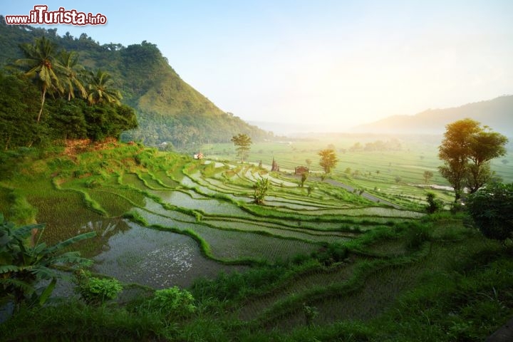 Immagine Le geometrie particolari dei terrazzamenti utilizzati per coltivare il riso. Questi paesaggi sono tipici delle zone interne di Bali, la magnifica isola dell'arcipelago della Sonda, in Indonesia - © Dudarev Mikhail / Shutterstock.com
