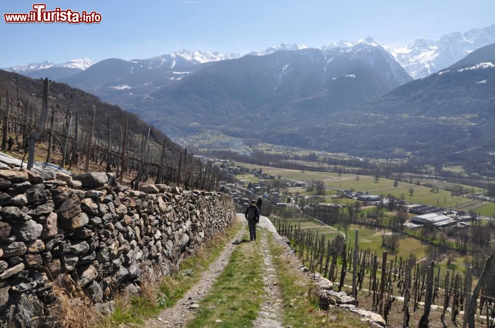 Le foto di cosa vedere e visitare a Chiuro