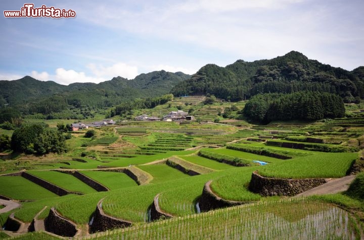 Immagine Hasami sorge nei pressi di Nagasaki, in Giappone. Sono affascinanti le sue risaie a terrazzamenti, dalle linee sinuose e il verde brillante - © TOMO / Shutterstock.com