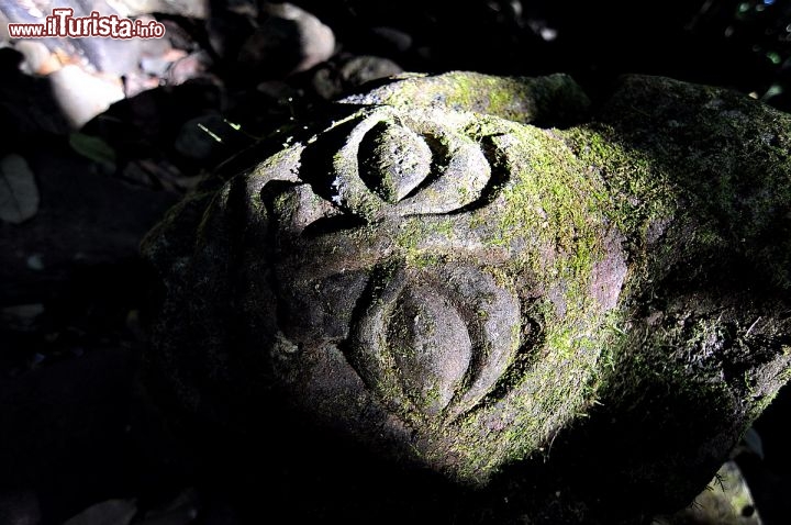 Immagine Tiki, ovver una divinità scolpita su roccia vicino ai marae di Opunohu a Moorea (Polinesia)