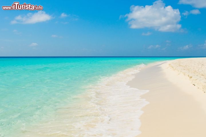 Immagine Una tipica spiaggia bianca tropicale a Los Roques in Venezuela - © javarman / Shutterstock.com