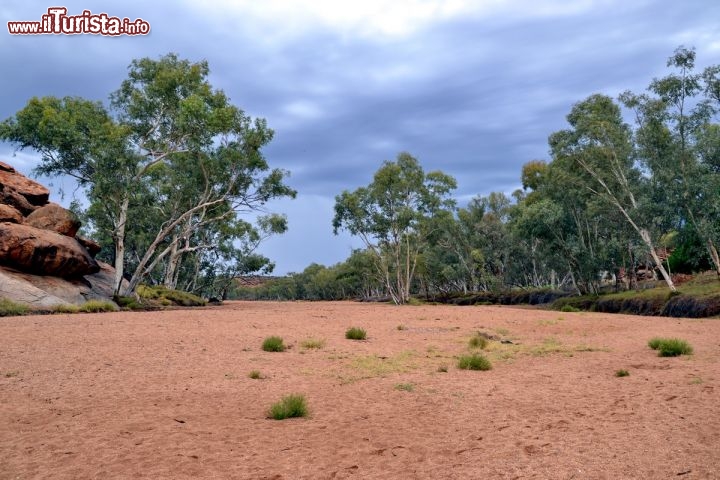 Immagine Il Todd River ad Alice Springs,  Australia - Durante la stagione più secca  il fiume si presenta così, completamente asciutto. A luglio qui comunque si svolge una celebre regata, un po' folle dato che è l'unica al mondo che si effettua. senza'acqua: La Henley-on-Todd Regatta