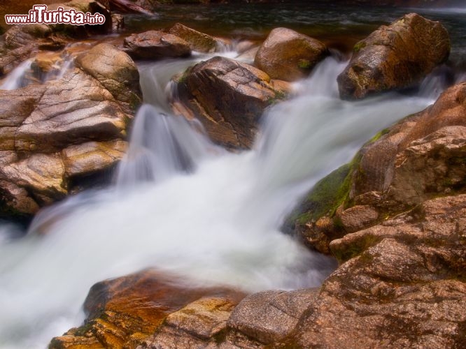 Immagine Torrente all'inzio della cascate Wanui: ci troviamo nel Parco Nazionale di Abel Tasman (New Zealand) - © CreativeNature.nl / Shutterstock.com