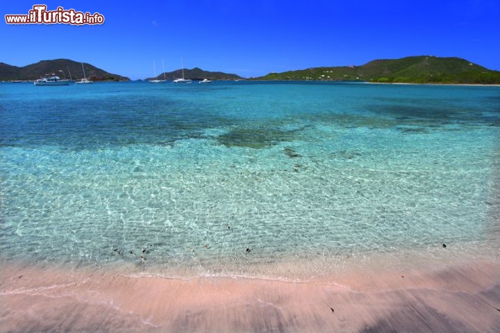 Immagine Tortola e il mare caraibico delle isole Vergini Britanniche, meta dei viaggi di nozze e le vacanze di mare più esclusive - © Jason Patrick Ross / Shutterstock.com