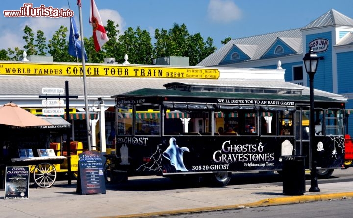 Immagine Tour Ghost and Gravestones, Key West - Vi piacciono le storie di pirati e fantasmi? Bene, se siete a Key West non perdetevi allora l'emozionante tour Ghost and Gravestones che accompagna i turisti alla scoperta dei luoghi infestati dai fantasmi raccontando storie e aneddoti su pirati e leggende woodoo. Si parte tutte le sere, con appuntamento dalle 19 alle 21, da Porter House Mansion. Prenotazione obbligatoria © Chuck Wagner / Shutterstock.com