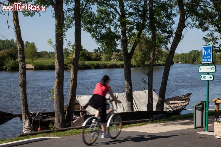 Immagine Tour cicloturistico nella Valle della Loira (Loire A Velo) Savonnieres - © foto di P. Forget CRT Centre Val de Loire