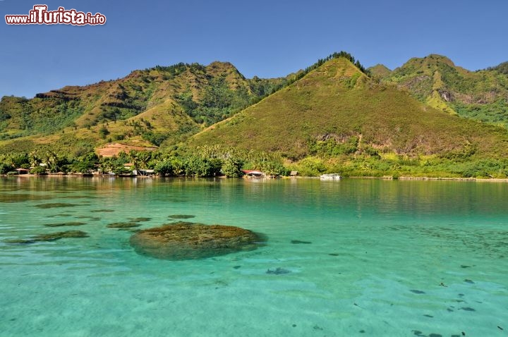 Immagine Tour in barca dell'isola di Moorea. In questa immagine la laguna settentrionale