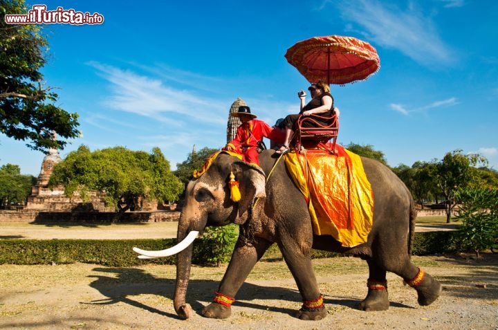 Immagine Tour in elefante nelle rovine di Ayutthaya Thailandia - © Wasu Watcharadachaphong / Shutterstock.com