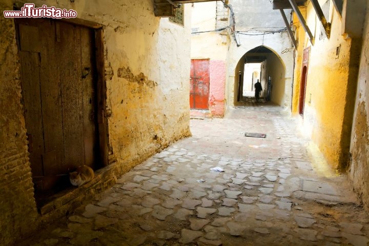Immagine Tour nella storica medina di Meknes in Marocco - © Mikadun / Shutterstock.com