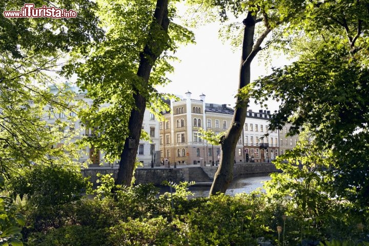 Immagine Tradgardsforeningen,  la società di orticultura di Goteborg - Credits: Nicho Södling/imagebank.sweden.se