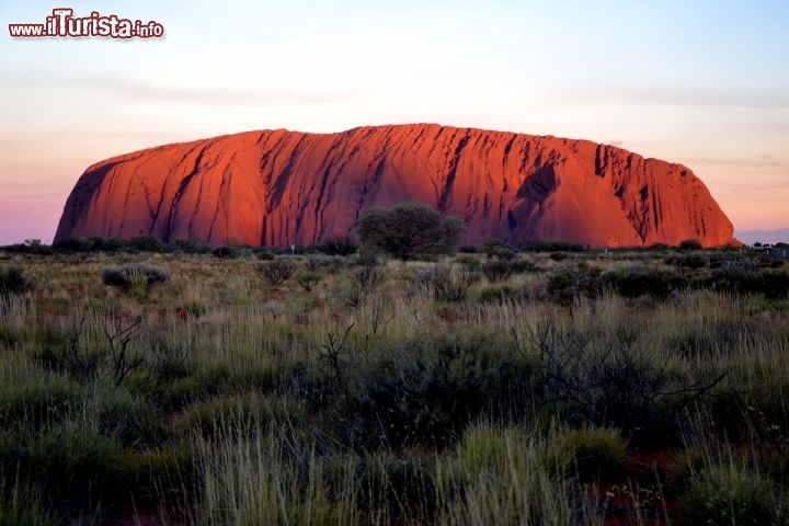 Immagine La magia del Tramonto nel parco di Ayers Rock (Uluru) in Australia - Le arenarie, chiamate arkose dai geologi, anche se frammiste a ciottoli, dal tipico colore arancione, alla sera regalano uno spettacolo di colori che cambiano: dal giallo si passa all'arancione fino al rosso cupo, e la montagna appare veramente come una presenza quasi soprannaturale, che emerge dalla piatta solitudine dell'outback del Red Centre, il cuore rosso dell'Australia