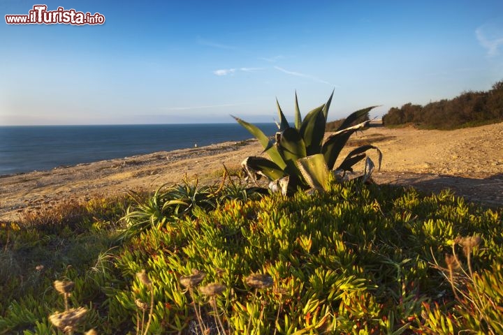 Immagine Tramonto sull'oceano, fotografato nei pressi di Azenhas do mar in Portogallo - © Andre Goncalves / shutterstock.com