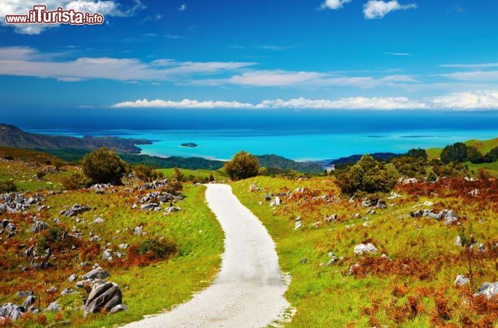 Immagine Trampling, ovvero escursione di più giorni sui sentieri dell'Abel Tasman National Park in Nuova Zelanda - © Pichugin Dmitry / Shutterstock.com