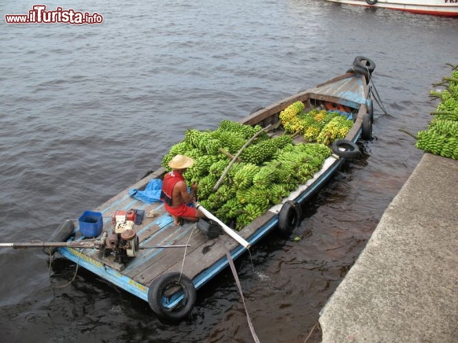 Immagine Trasporto banane a Manau, che avviene lungo il fiume Rio Negro del Brasile - © guentermanaus / Shutterstock.com