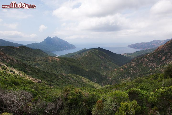 Immagine Tra nuvole e pendii: il Golfo di Girolata - A pochi passi dalla Riserva Naturale di Scandola, il bellissimo Golfo di Girolata è uno dei luoghi simbolo della Corsica marittima, un'immagine tipicamente da cartolina che popola l'immaginario collettivo sui paesaggi di questa bellissima isola. Qui, il turista dispone della pura bellezza della Corsica selvaggia, con i monti e i pendii scoscesi alle spalle, un mare cristallino davanti, il fortino genovese e il panorama sulla riserva naturale. Si tratta di un paradiso raggiungibile esclusivamente in barca o a piedi, inconvenienti che tuttavia non fermano i numerosissimi turisti che, d'estate, affollano la bellissima spiaggia della baia. 