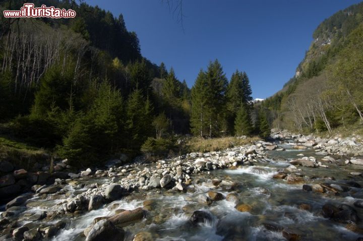 Immagine Un torrente alpino della zona di Trebesing in Carinzia: qui la natura rigogliosa dell'Austria offre sentieri per trekking e attrazioni ideali per famiglie con bambini