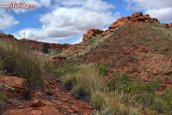 Immagine Trekking lungo il Rim Walk, Kings Canyon (Australia) - Il percorso più lungo da compiere a piedi richiede almeno 3,5 ore di tempo, e consente di coprire oltre 6 km tra panorami fantastici. Dopo una iniziale e ripida salita, il tracciato si mantiene in quota, offrendo spettacolari viste su questa gola vecchia 400 milioni d'anni, il più grande canyon australiano