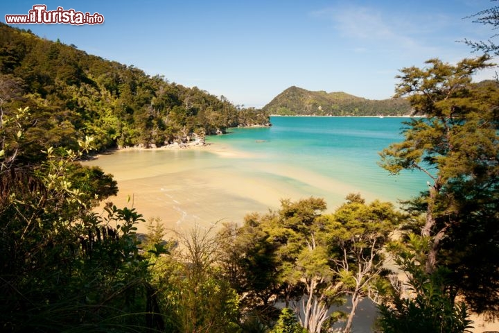Immagine Trekking nel parco di Abel Tasman: ci troviamo nell'Isola del Sud in Nuova Zelanda - © Martin Maun / Shutterstock.com