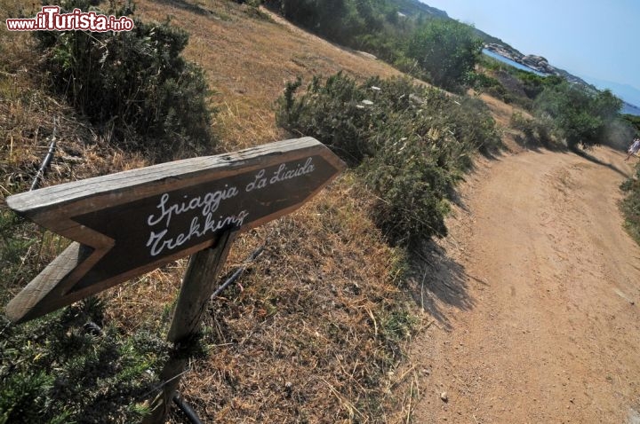 Immagine Trekking verso la spiaggia La Licciola, Sardegna - La bellissima spiaggia La Licciola si trova a pochi km da Santa Teresa di Gallura in località Valle dell'Erica. In realtà questo tratto di litorale è costituito da due spiagge separate da una piccola scogliera e impreziosito dai profumi intensi che ne preservano la natura selvaggia e la bellezza ancora incontaminata. Il panorama che si gode dalla spiaggia e che spazia fino a Punta Sardegna è a dir poco spettacolare. Questa spiaggia non è attrezzata ed è priva di infrastrutture turistiche, adatta particolarmente per gli amanti della tranquillità © Sonja Vietto Ramus