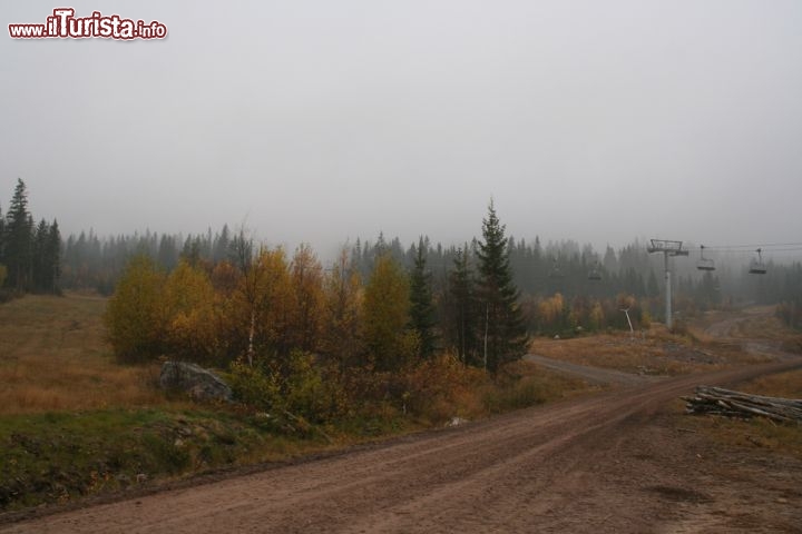 Immagine Autunno a Trysil, Norvegia - Trekking fra montagne, boschi e torrenti, pesca e golf sono solo alcune delle tante attività che si possono praticare durante tutto l'anno a Trysil che è anche la più grande località sciistica della Norvegia con ben 65 piste e 31 impianti di risalita. La storia di questo centro norvegese è legata ad alcune curiosità storiche fra cui il fatto di aver ospitato nel lontano 1855 le prime gare di sci © Stale Edstrom / Shutterstock.com