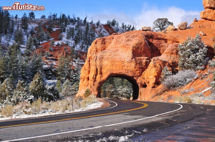 Immagine Le rocce imponenti del Zion National Park dello Utah, USA, in certi caso hanno dovuto fare spazio all'intrusione dell'uomo. Come questa formazione di arenaria rossa, in cui è stato scavato un breve tunnel per consentire il passaggio a una strada panoramica che attraversa la riserva, permettendo ai turisti di spostarsi tra canyon e sculture naturali - © Jorge Moro / Shutterstock.com