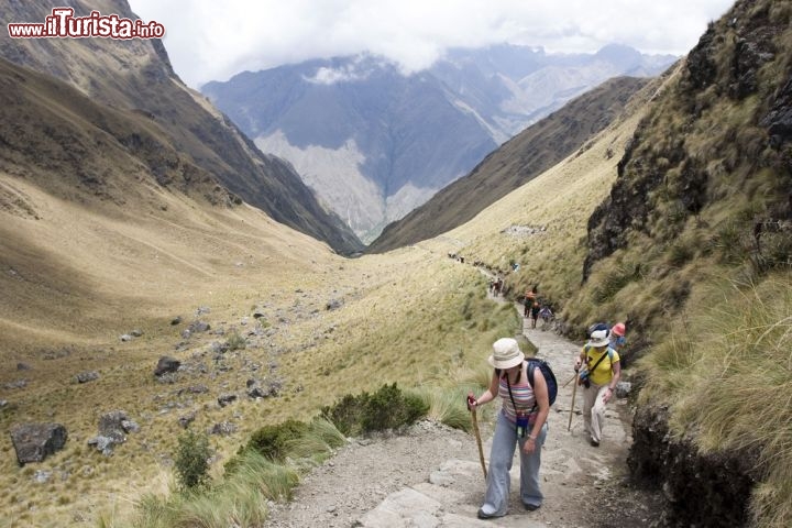Immagine Turisti verso Machu Picchu, Perù - Sicuramente il modo più impressionante e indimenticabile per arrivare a Machu Picchu: a piedi usando lo stesso cammino percorso dagli inca oltre mezzo millennio fa. L'Inca Trail permette di percorrere uno splendido sentiero fatto di pietre, scale e gallerie attraverso strade che portano dalla gola del fiume Urubamba alle alte cime delle Ande. Un'avventura emozionante lungo un trekking di 43 chilometri interrotto solo da antiche cittadelle inca che dominano tutto il paesaggio - © Mariusz S. Jurgielewicz / Shutterstock.com