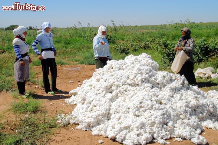 Immagine Turkmenistan raccolta del cotone - Foto di Giulio Badini< / I Viaggi di Maurizio Levi