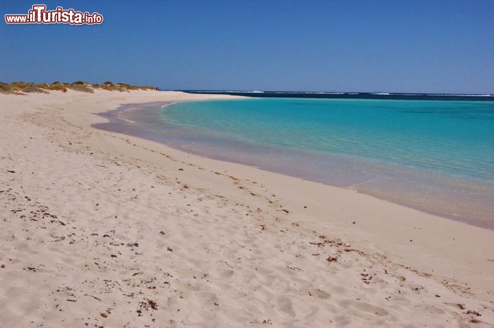 Immagine Turquoise Bay Ningaloo Reef Exmouth Australia