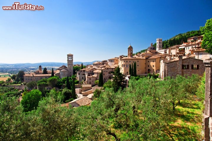 Immagine Ulivi incorniciano il centro di Assisi. Natura, storia e ottimo cibo nel cuore verde d'Italia sono gli ingredienti di un perfetto itinerario che porta alla scoperta di una regione che sta incentivando il turismo sostenibile. Oltre a ammirare questi suggestivi scorci panoramici dove ulivi secolari sono protagonisti assoluti, gli amanti delle attività outdoor possono percorrere in bicicletta la via degli ulivi che porta da Spello, antica colonia romana, sino ad Assisi - © gualtiero boffi / Shutterstock.com