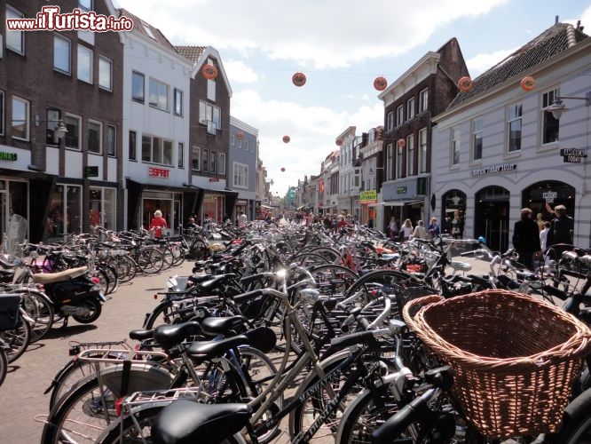 Immagine Un mare di biciclette a Gouda, Olanda