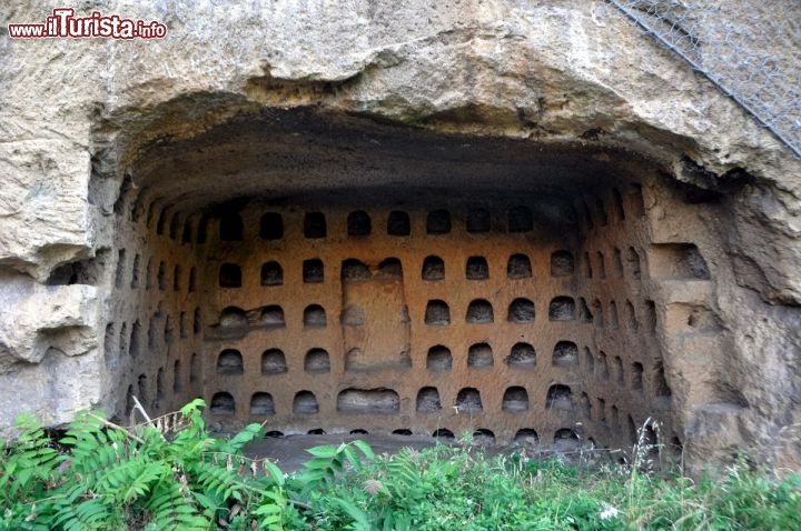 Immagine Un Colombario a Sorano lungo la strada che porta al Borgo di Sovana. Le rocce tufiche della zona sono state intagliate sia dagli Etruschi che durante il periodo romano e medievale