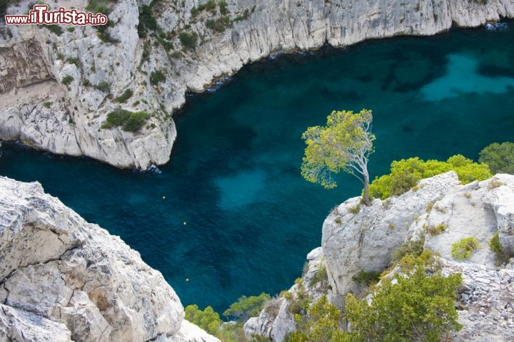 Immagine Un fiordo de Les Calanques, in Francia. Dal 2012 queste insenature della Costa Azzurra nei pressi di Cassis fanno parte del Parc National des Calanques - foto © Itinerant Lens / Shutterstock.com