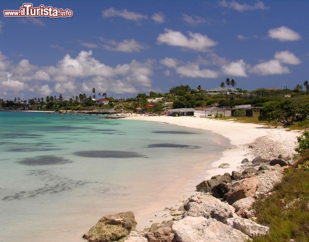 Immagine Una bella spiaggia sabbiosa sull'isola di Aruba ai caraibi - © Holger Wulschlaeger / Shutterstock.com