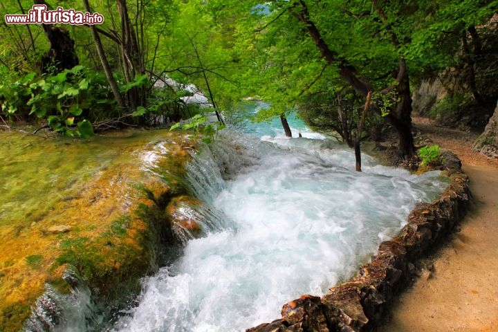 Immagine Una delle cascate del Parco Nazionale, Plitvice - Collegati da piccole dighe naturali create dal carbonato di calcio che si è depositato nel tempo sulla fitta vegetazione sommersa, i laghi di Plitvice ospitano anche un'interessante varietà di specie animali e fauna acquatica fra cui trote e crostacei di varie dimensioni © LeonP / Shutterstock.com