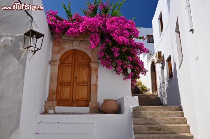 Immagine Una tipica casa greca a Lindos, Grecia - Una delle suggestive case di Lindos intonacata con calce bianca e abbellita dai fiori violacei della bouganville: passeggiando per le viuzze di questo grazioso villaggio se ne incontrano ovunque © Birute Vijeikien / Shutterstock.com
