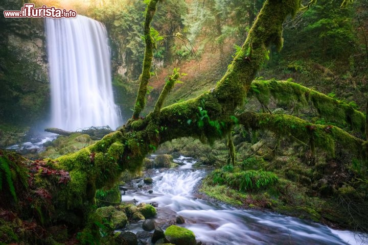 Immagine Upper bride Veil, la bella cascata del fiume fiume Columbia nei ressi di Portland in Oregon