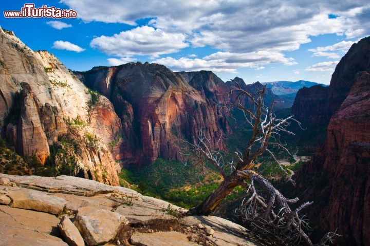 Le foto di cosa vedere e visitare a Zion