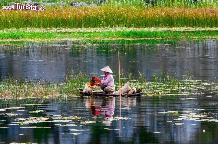 Immagine Van Long, riserva naturale nella provincia di Ninh Binh, Vietnam: in questa zona sono molti i turisti che amano concedersi una giornata di relax navigando a remi nelle acque palustri della riserva - Foto © Hoang Cong Thanh / Shutterstock.com