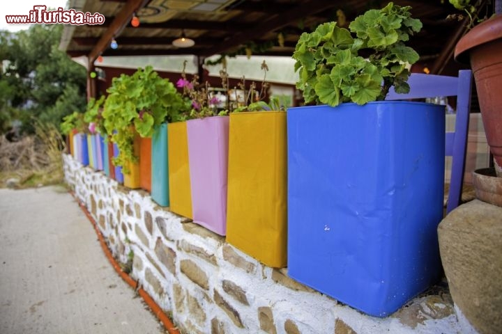 Immagine Sull'isola di Chios, nella Grecia nord-orientale, vasi colorati in un simpatico caffé di Karfas. A Karfas, 7 km a sud di Chios città, c'è una delle spiagge più belle e frequentate dell'isola, che concilia un paesaggio mozzafiato coi comfort di lettini, ombrelloni e tanti punti di ristoro - © Kayla A / Shutterstock.com