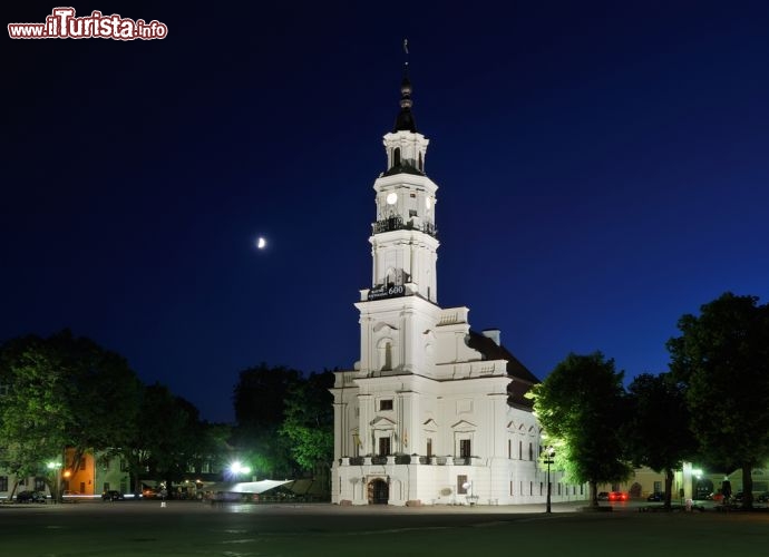Immagine Il vecchio Municipio di Kaunas (Lituania) fotografato di notte con la Luna - © Dmitry Zamorin / Shutterstock.com