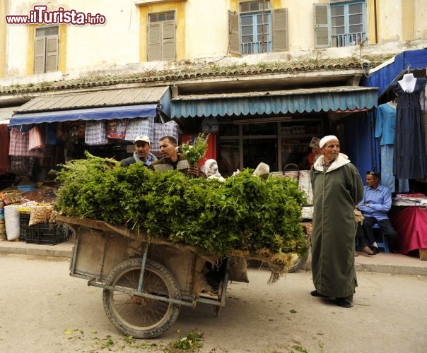 Immagine Venditore di menta a Essaouira, Marocco - Percorrendo la medina di Essaouira non si può che rimanerne davvero incantati: porte blu, case imbiancate a calce, laboratori artigianali e piccole botteghe. Tutto nella vecchia città è avvolto da un'atmosfera magica e profuma di menta, pianta utilizzata per aromatizzare molti dei piatti tipici marocchini dal the alle brochettes sino al cous cous. In questa immagine uno dei tanti venditori di menta che si può incontrare nel centro di Essaouira  © Mauro Pezzotta / Shutterstock.com