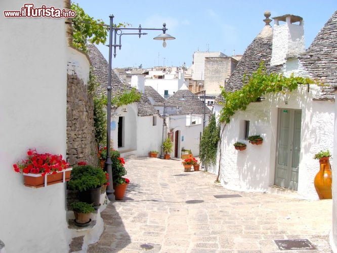 Immagine Via caratteristica centro di Alberobello trulli Puglia - © JeniFoto / Shutterstock.com