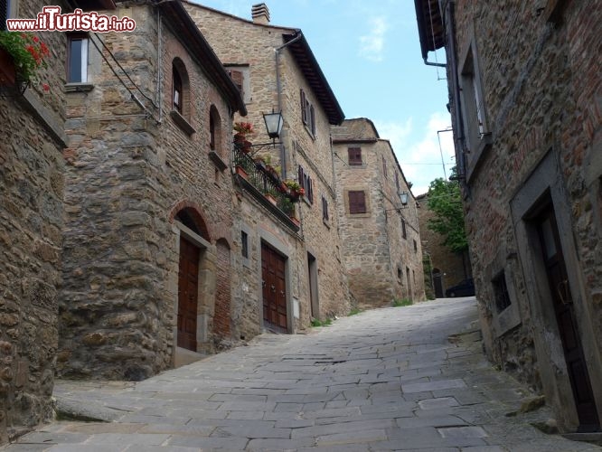 Immagine Scorcio panoramico sul borgo medievale di Cortona, Toscana  - Passeggiando per il centro di questa cittadella di 23 mila abitanti si possono scoprire le tante bellezze artistiche e culturali ospitate in questo suggestivo borgo nato etrusco attorno al V° secolo a.C.. Musei, mura difensive e palazzi ma anche viottoli acciottolati su cui si affacciano le caratteristiche dimore di mattoni impreziosite dagli infissi in legno dipinti e dai fiori appesi ai balconi. Un perfetto angolo di Toscana in cui respirare l'antica atmosfera medievale © wjarek / Shutterstock.com